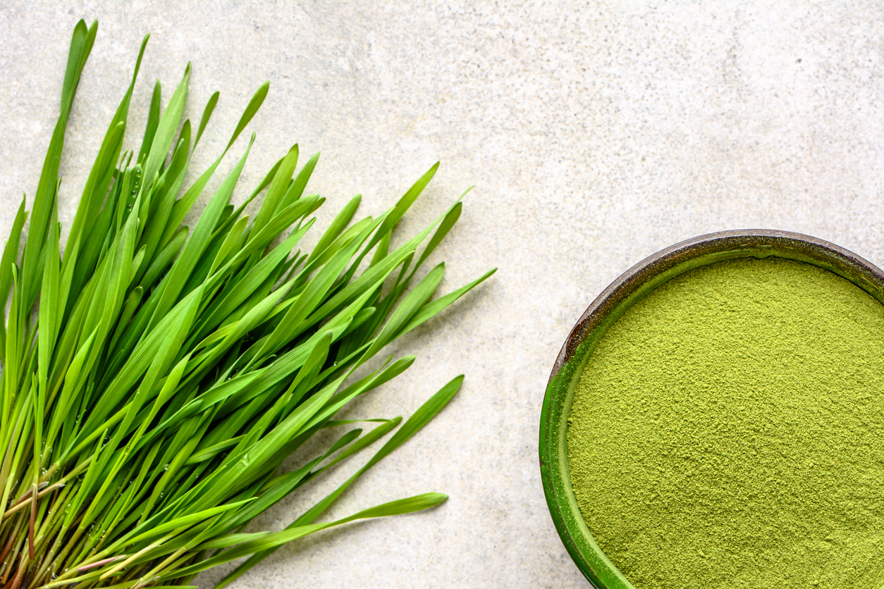 Algae Extract