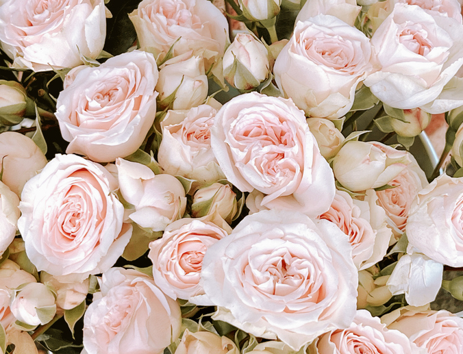 Mothers Day Sale